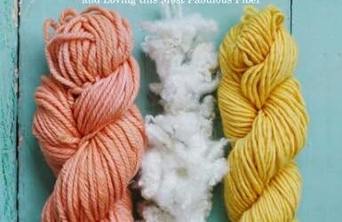 Book Review: The Knitter’s Book of Wool by Clara Parkes