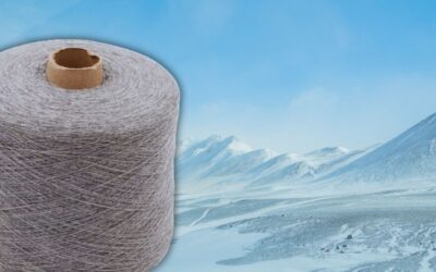 Filato 2/28 100% Cashmere: Eleganza e Qualità Superiore