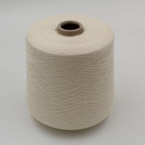 EVIAN 100% WR nm. 2/60 colore greggio rocche 640gr