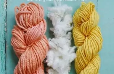 Book Review: The Knitter’s Book of Wool by Clara Parkes