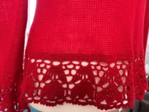 red jumper close image